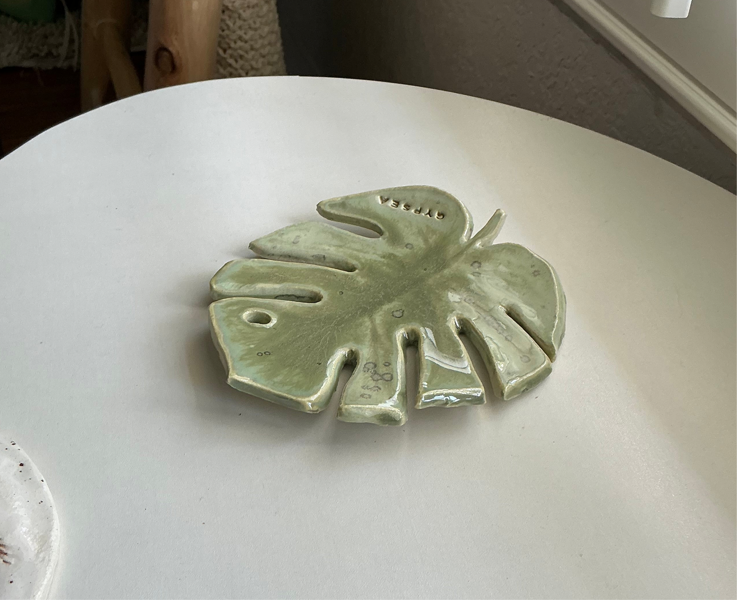 monstera leaf