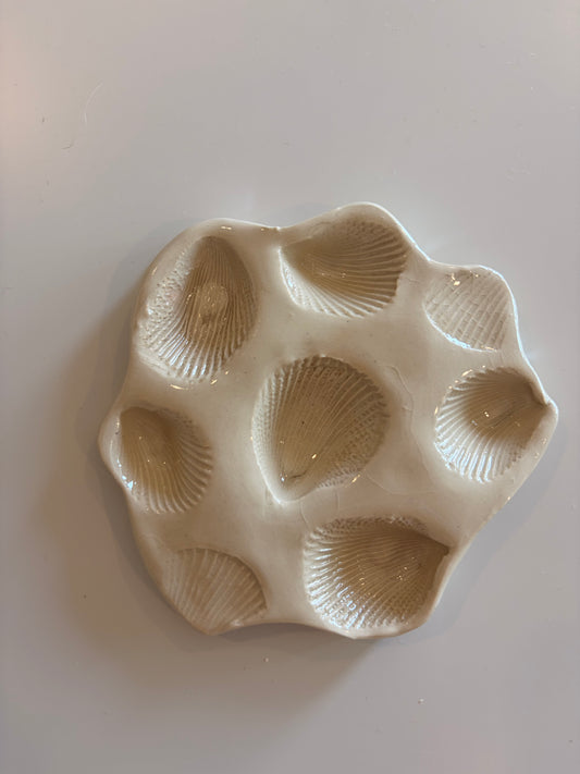 Seashell sea treasure