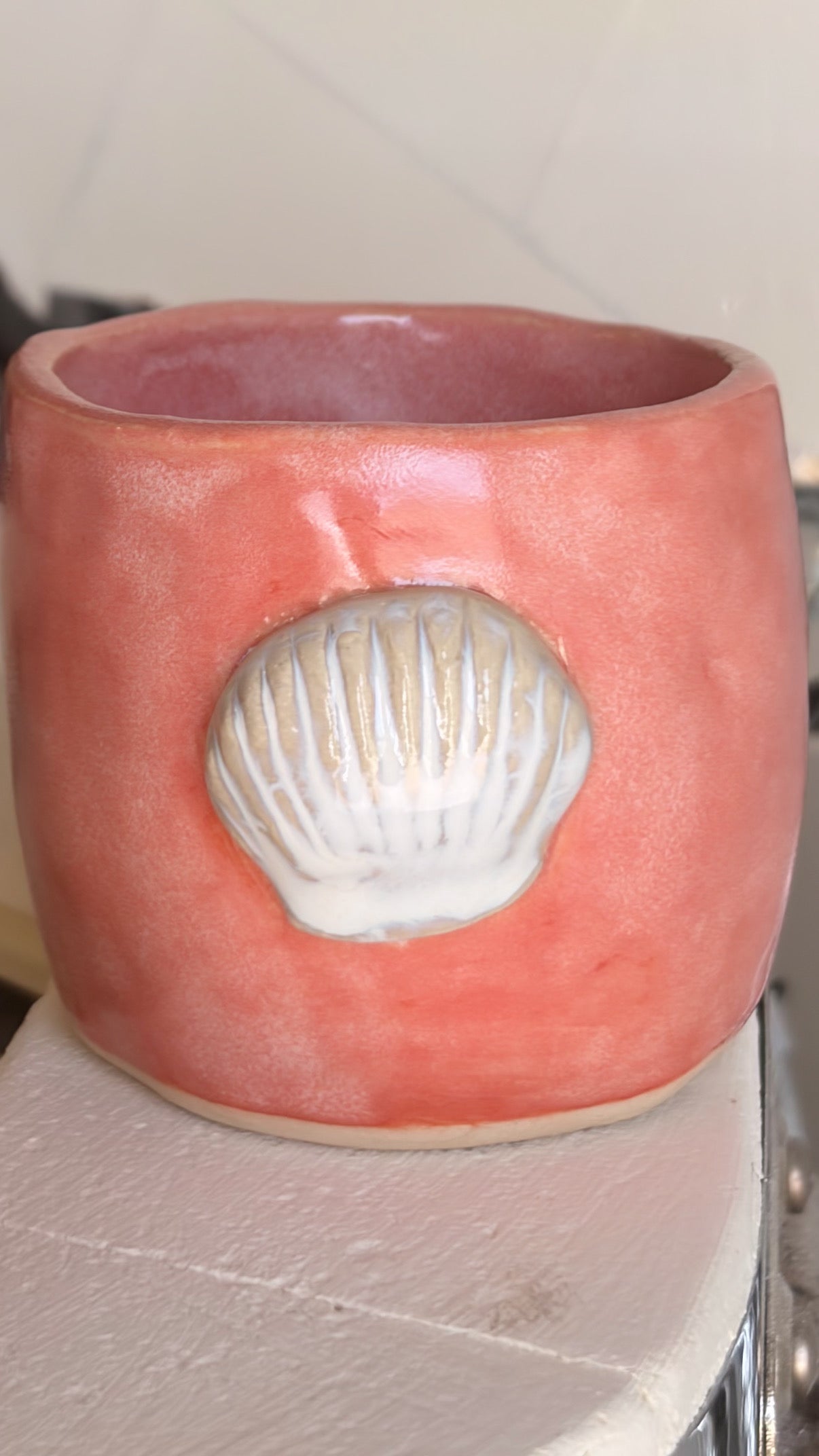 coral seashell mug