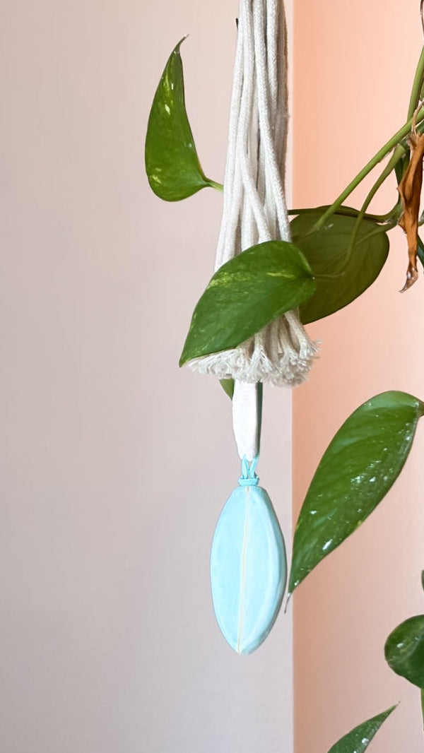 Sand Dollar + Surfboard charm