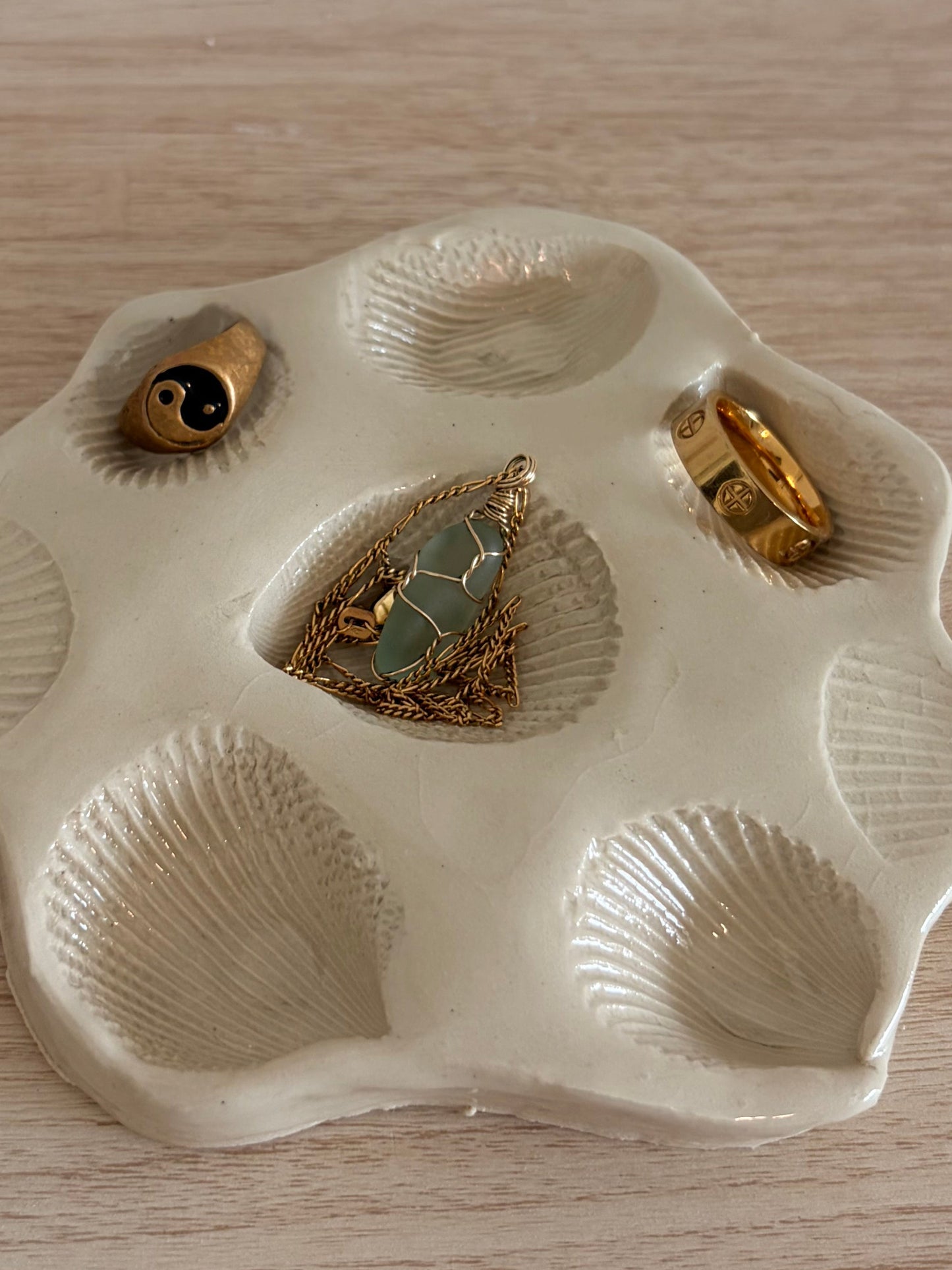 Seashell sea treasure